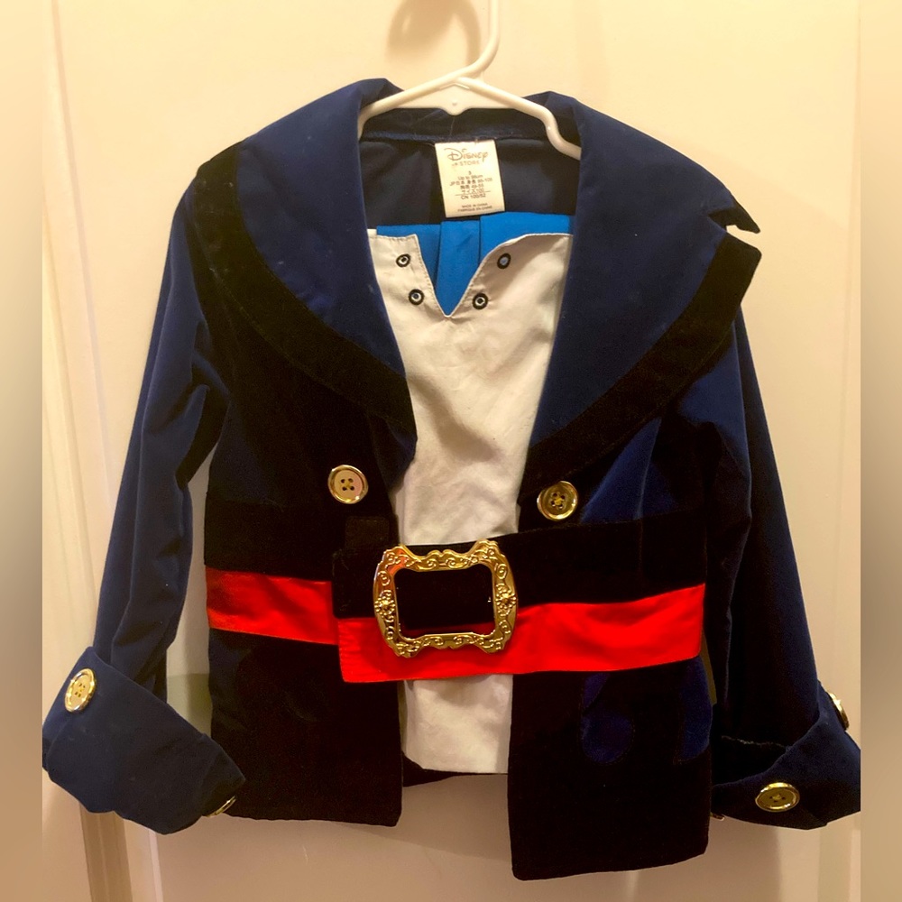 Disney Pirate Costume